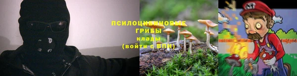 Альфа ПВП Нея