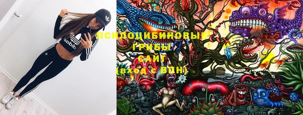наркотики Новодвинск