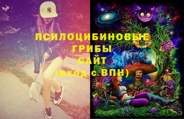 2c-b Новокубанск