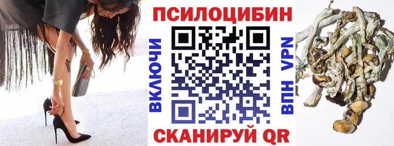 Купить Полевской Псилоцибиновые грибы Magic Shrooms